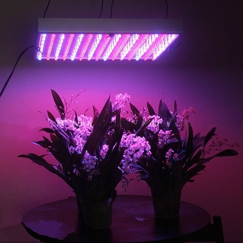 225 1 Technology and the Use of LED Grow Light